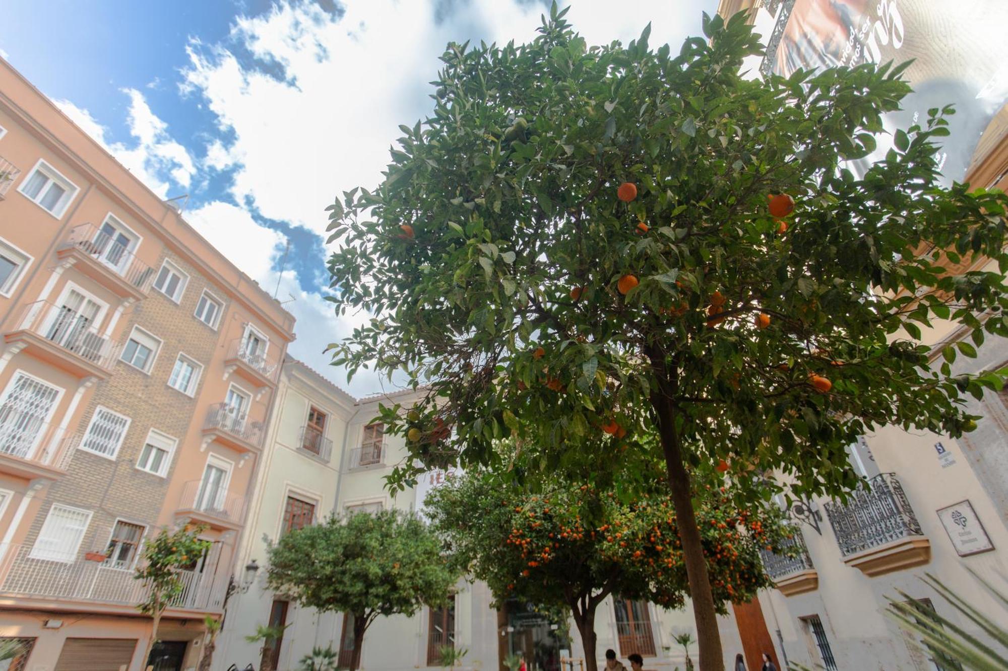 Vlc - Tranquilo Apartamento En Plaza Cisneros Valencia Exterior photo