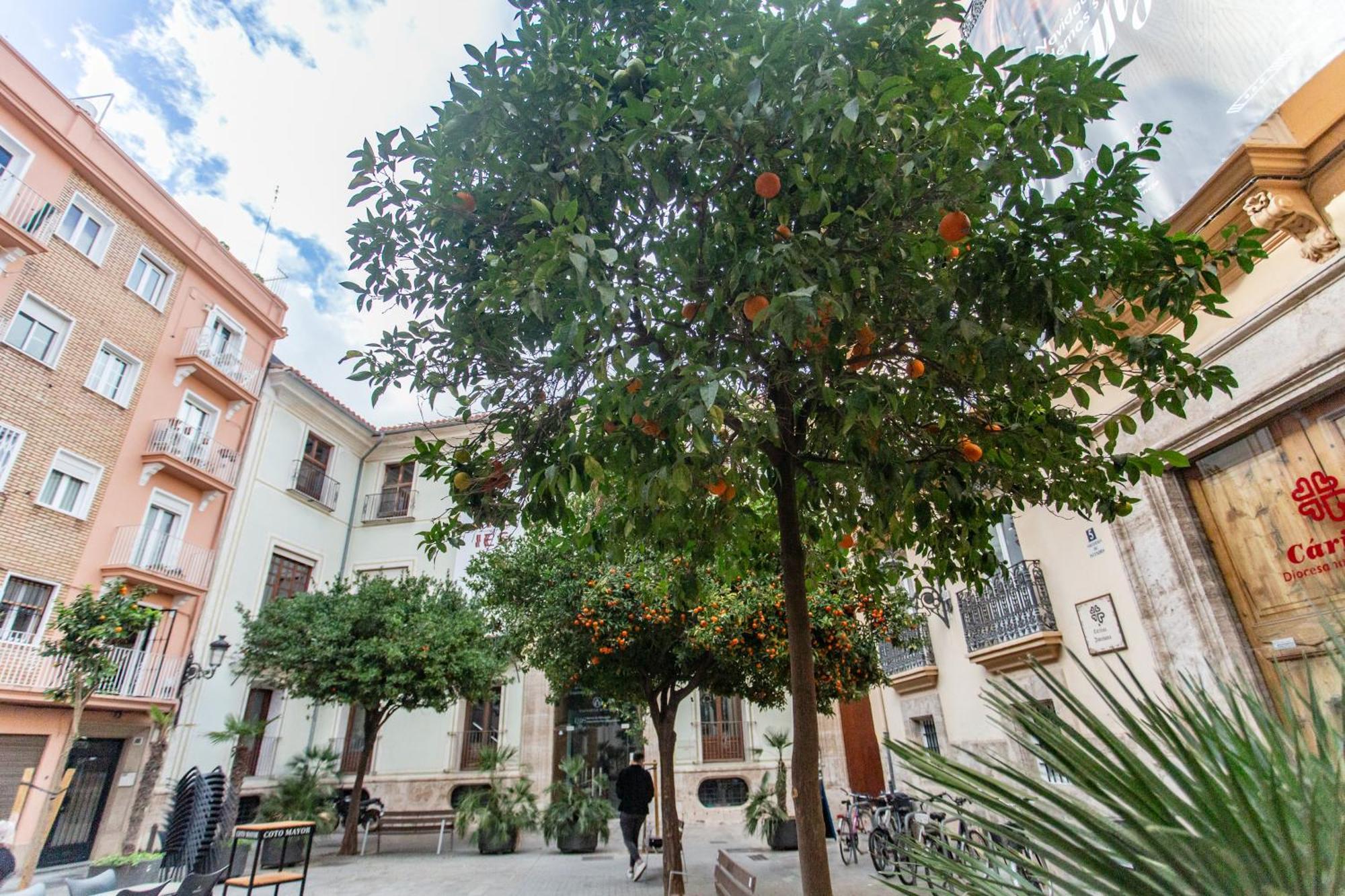 Vlc - Tranquilo Apartamento En Plaza Cisneros Valencia Exterior photo